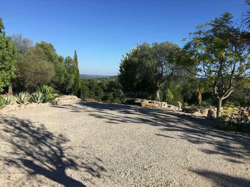 L'image représente une allée de gravier sereine, bordée d'arbres et de plantes luxuriants, sur fond de ciel bleu brillant par une journée ensoleillée.