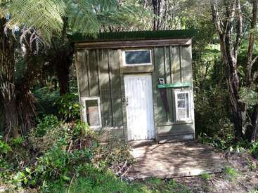 Un pequeño cobertizo de madera verde desgastada se alza en medio del denso y frondoso follaje del bosque. Tiene ventanas y puerta blancas, con una sierra colgada junto a la entrada.