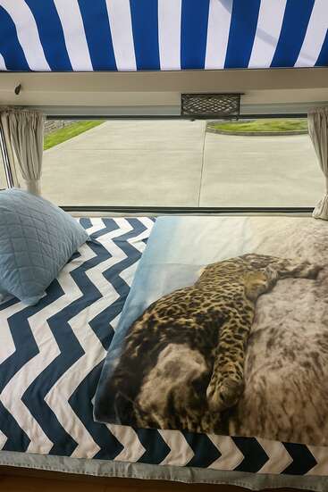 A cozy bed features a blue-and-white zigzag comforter, a light blue pillow, and a blanket with a print of a lounging leopard. Large window nearby.