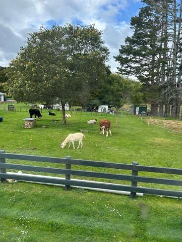 This image shows a peaceful farm scene with cows, alpacas, and sheep grazing on green grass, surrounded by trees, fences, and a partly cloudy sky.