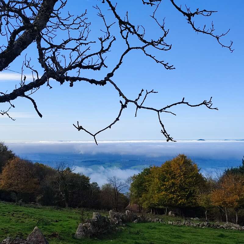 Das Bild zeigt eine ruhige Landschaft mit einem Baum im Vordergrund, einer grasbewachsenen Wiese und einer entfernten, in Nebel gehüllten Bergkette unter einem klaren blauen Himmel.
