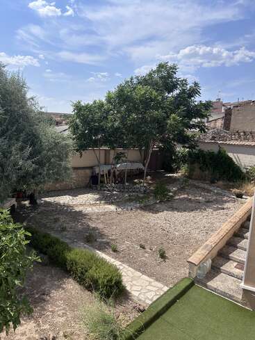 Un patio trasero soleado con tierra seca, plantas dispersas, varios árboles y arbustos verdes. Un camino y unas escaleras de piedra conducen a una terraza; arriba, el cielo azul.