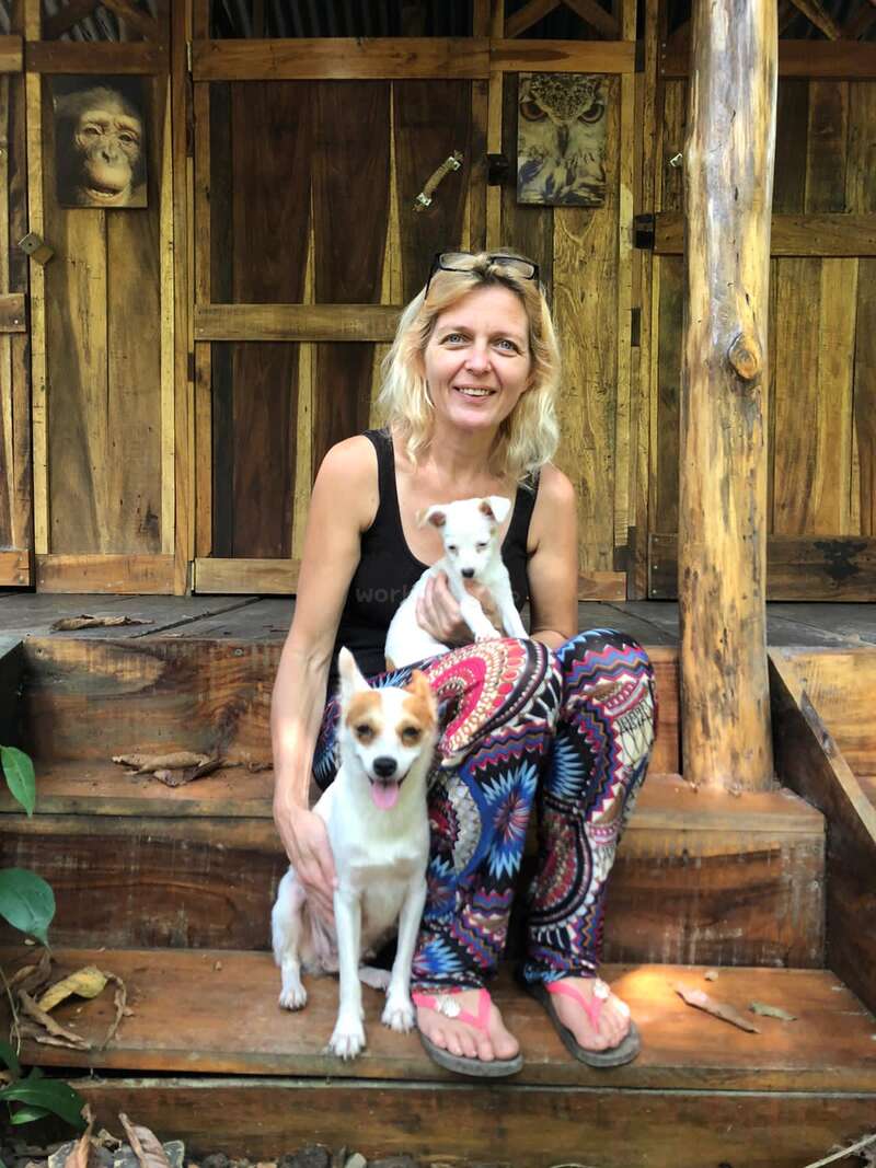 Help to build a treehouse in the jungle of Paquera, Costa Rica, image size:800x1067