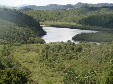 La imagen representa un paisaje sereno, con un lago rodeado de exuberante vegetación, colinas onduladas y montañas al fondo, que evocan una sensación de belleza natural y tranquilidad.