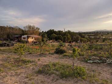 La imagen representa un sereno paisaje rural en el que aparece un jardín con diversas plantas y árboles, acompañado de un pequeño cobertizo o casa al fondo.