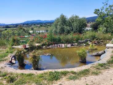 A tranquil pond surrounded by reeds, wildflowers, and trees. In the background, green fields, mountains, and a blue sky create a peaceful, rural scene.