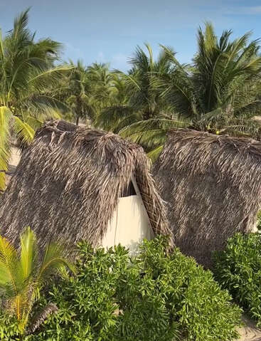 A imagem mostra duas cabanas rústicas com telhados de palha cercadas por arbustos verdes exuberantes e palmeiras altas sob um céu azul brilhante, criando uma atmosfera tropical.