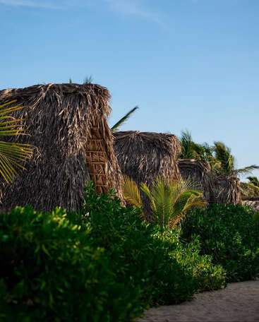 Três cabanas rústicas com telhados de palha de palmeira ficam perto de arbustos verdes exuberantes sob um céu azul claro, evocando uma atmosfera serena de praia tropical e beleza natural.