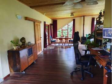 This cozy, modern room features wooden floors, a home office setup, a dining area by large windows, indoor plants, and warm lighting, creating a welcoming atmosphere.