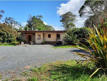 A small house with a metal roof is surrounded by greenery and trees. Gravel driveway in front, blue sky with some clouds overhead, plants nearby.