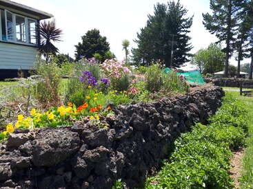 Um jardim encantador com flores coloridas floresce atrás de um muro de pedra rústico. Uma casa e árvores altas emolduram o fundo sob um céu ensolarado e brilhante.