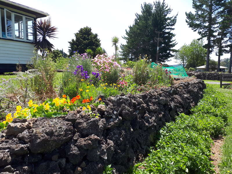 Um jardim encantador com flores coloridas floresce atrás de um muro de pedra rústico. Uma casa e árvores altas emolduram o fundo sob um céu ensolarado e brilhante.