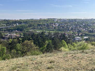 This image shows a scenic hillside overlooking a lush green forest, residential houses, modern buildings, and a distant cityscape under a bright, clear blue sky.