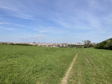 A grassy path leads through a green field toward a distant city skyline under a bright, blue sky with scattered clouds and trees lining one side.