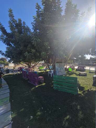 La luz del sol se cuela entre los altos árboles que dan sombra a una zona de césped al aire libre. Los coloridos palés de madera y las sillas de plástico crean un ambiente rústico, lúdico y acogedor.