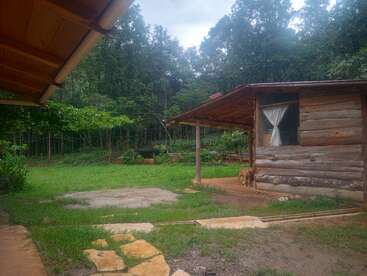 Una rústica cabaña de madera se alza junto a un exuberante patio verde y un denso bosque. En la ventana cuelgan cortinas y bajo el porche hay un perro. Un entorno tranquilo.