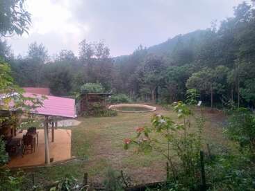 A la izquierda, una casa rústica con tejado rojo rodeada de árboles. Una pequeña piscina y un jardín llenan un tranquilo y verde patio trasero.