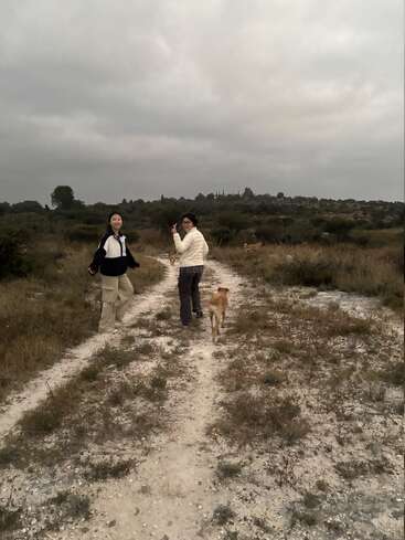 Duas pessoas e um cachorro caminham por um caminho de terra em uma paisagem gramada sob um céu nublado, desfrutando juntos de um momento de paz na natureza.