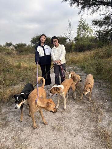 Duas pessoas estão em pé em um caminho de terra ao ar livre, cada uma segurando as coleiras de vários cães. A cena é natural, com grama, arbustos e céu nublado.