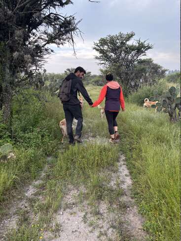 Um casal caminha de mãos dadas por uma trilha gramada, acompanhado por dois cães, cercado por vegetação, árvores e um céu nublado acima, apreciando a natureza.