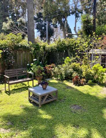 L'image représente une arrière-cour sereine, avec un banc en bois, une table basse et des plantes en pot, entourés d'une végétation luxuriante et d'une clôture, avec un ciel bleu clair en arrière-plan.