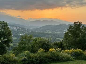 Des collines vallonnées recouvertes d'une végétation luxuriante s'étendent à perte de vue, encadrées par des arbres et des fleurs sauvages jaunes. Le ciel s'illumine d'une lueur orange au coucher du soleil, créant une atmosphère paisible.