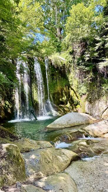 Une cascade paisible se jette dans un bassin limpide entouré d'arbres verdoyants et de rochers recouverts de mousse, créant un paradis naturel paisible baigné par la lumière du jour.