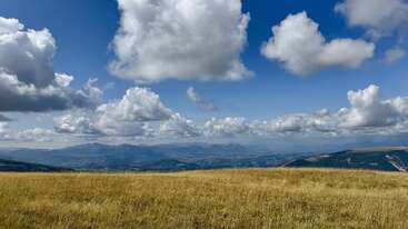 Une prairie dorée s'étend sous un ciel bleu vif parsemé de nuages blancs cotonneux. Les montagnes lointaines créent une toile de fond sereine, évoquant la paix et la tranquillité.