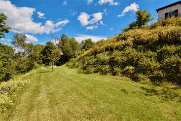 A bright, sunny day with a clear blue sky and scattered clouds, showcasing a green grassy path, trees, bushes, and a house partially visible.