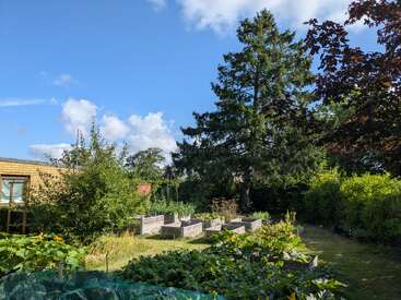 A sunny garden scene with raised vegetable beds, lush greenery, tall trees, and a shed. Blue sky with scattered clouds creates a peaceful, vibrant outdoor atmosphere.
