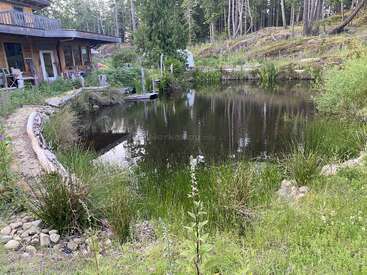Un étang serein entouré d'herbes et de plantes luxuriantes se trouve à côté d'une maison en bois rustique. Des arbres et une colline douce encadrent ce cadre naturel et paisible.