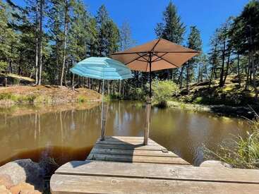 Un quai en bois avec deux parasols, l'un à rayures bleues et l'autre de couleur bronze, surplombe un étang serein entouré d'arbres par une journée ensoleillée et bleue. Un cadre paisible.