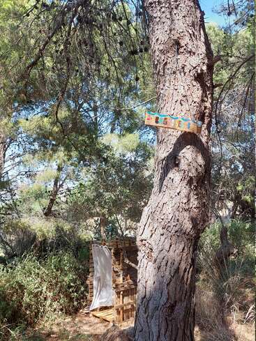 Uma árvore com uma placa de madeira feita à mão onde se lê "Bagno Self" está pendurada acima de um chuveiro rústico ao ar livre feito de paletes de madeira, cercado por vegetação de pinhal e luz do sol.