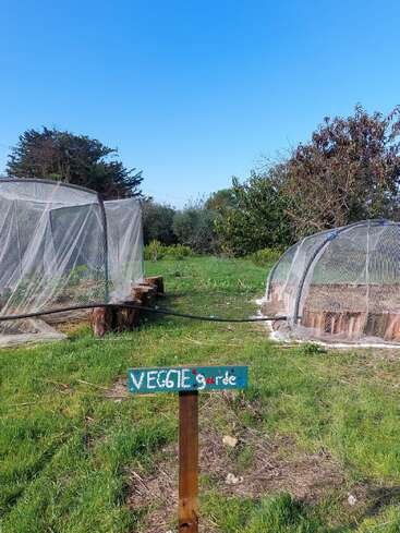 Dieses Bild zeigt einen kleinen Gemüsegarten mit zwei Netzgewächshäusern, einem handgefertigten Schild "VEGGIE garden", grünem Gras, umliegenden Bäumen und einem strahlend blauen Himmel.