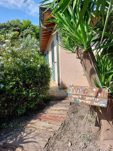 Ein rustikaler Weg führt zu einem hellbraunen Haus, das von üppigem Grün umgeben ist. Auf einem handgefertigten Schild steht: "LIVING PATH: walk gently, life grows below."