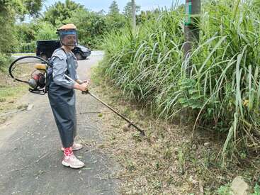 A person wearing protective gear and face shield operates a brush cutter, trimming tall grass along a rural roadside with a black vehicle and greenery in the background.