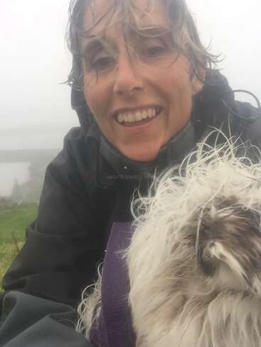 The image shows a woman and a dog in a foggy outdoor setting, with the woman wearing a black jacket and the dog having long white hair.