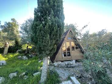 Une confortable cabane en bois à ossature en A est nichée au milieu d'arbres et d'herbe verdoyants. De grandes fenêtres reflètent la lumière du soleil, créant une atmosphère paisible, accueillante et rustique à l'extérieur.