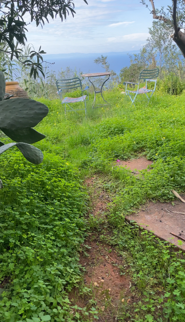 Un chemin de jardin verdoyant mène à trois chaises en métal et à une table, surplombant une mer bleue sereine sous un ciel partiellement nuageux. Ambiance paisible.
