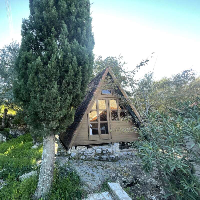 A cozy, wooden A-frame cabin sits nestled among lush green trees and grass. Large windows reflect sunlight, creating a peaceful, inviting, and rustic atmosphere outdoors.