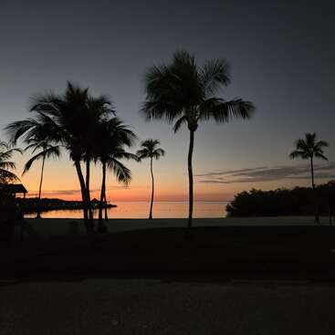 Palm trees stand silhouetted against a beautiful sunset sky. The calm ocean reflects orange and purple hues, while the tranquil beach exudes a peaceful, tropical vibe.