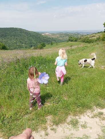Two young children and a dog explore a lush green hillside on a sunny day. Someone holds a blue wildflower in the foreground, capturing nature’s beauty.