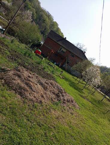 A rural scene with a red-brick house, green lawn, garden beds, hay pile, and trees in bloom under a bright sky. Peaceful and scenic countryside.