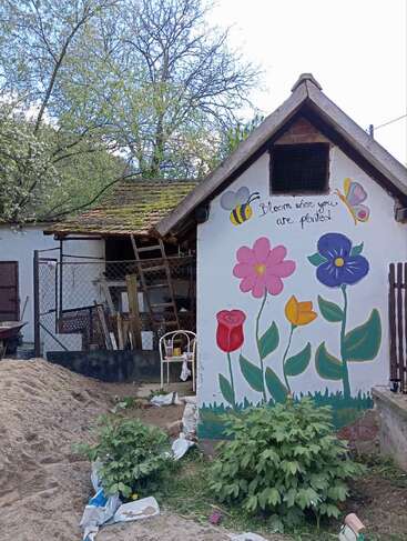 A small shed features a colorful mural of flowers, a bee, and a butterfly, with the phrase "Bloom where you are planted" painted on its wall.