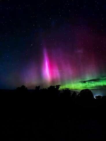 Um céu de tirar o fôlego iluminado por luzes vibrantes de aurora rosa, roxa e verde, com uma silhueta de árvores abaixo e inúmeras estrelas cintilando acima. Cena mágica.