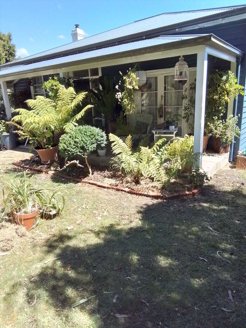 A imagem mostra uma casa charmosa com uma varanda coberta, cercada por uma vegetação exuberante e vasos de plantas, exalando uma sensação de serenidade e beleza natural.