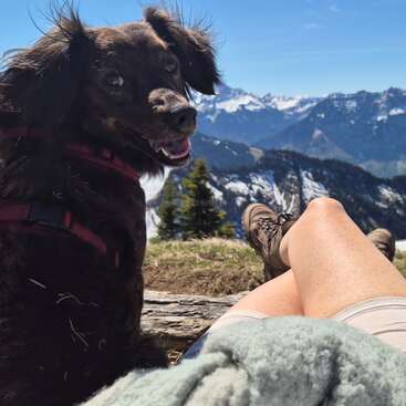 A happy dog sits beside a person relaxing outdoors. Snowy mountains and blue sky create a stunning scenic backdrop. It’s a perfect day for adventure together.