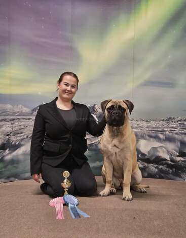 Une femme en costume noir est agenouillée à côté d'un grand chien, exhibant un trophée et des rubans. Derrière eux se trouve une toile de fond représentant des aurores boréales.