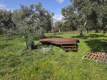 A wooden platform with steps stands among green grass and trees. A wooden pallet lies nearby. A person walks in the background under a blue sky.