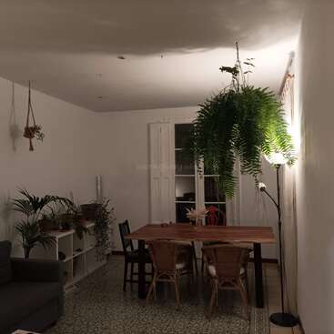 Uma sala de jantar aconchegante com uma mesa de madeira, cadeiras de vime, plantas domésticas em prateleiras, uma samambaia pendurada, ladrilhos estampados no piso, iluminação suave e paredes brancas criam aconchego.